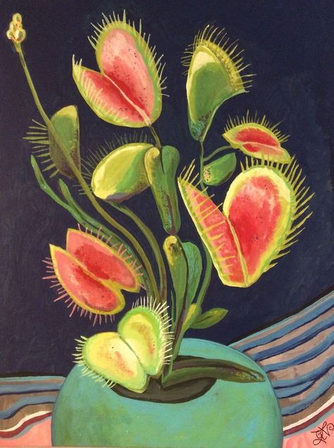 Venus Fly Trap Painting Acrylic, Carnivorous Plant Painting, Venus Flytrap Painting, Venus Flytrap Illustration, Venus Flytrap Aesthetic, Plants Aesthetic Drawing, Venus Fly Trap Painting, Venus Flytrap Drawing, Plant Reference Photos