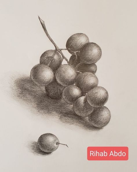 Fruit Shadow Drawing, Fruit Sketching, Still Life Fruit Drawing, Drawings With Shading, Grape Drawing, Fruit Sketch, Pencil Sketches Easy, Canvas Art Painting Acrylic, Traditional Tattoo Designs