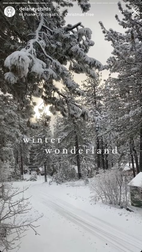 Aesthetic Winter Wonderland, Winter Aesthetic Snow, Mode Au Ski, Ski Pics, Aesthetic Snow, Snow Aesthetic, Winter Instagram, Aesthetic Winter, Europe Winter