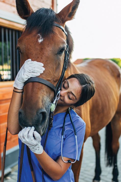 Vet Pictures, Vet School Motivation, Equine Veterinarian, Equine Veterinary, Veterinary School, Vet Medicine, Vet School, Vet Student, Veterinary Services