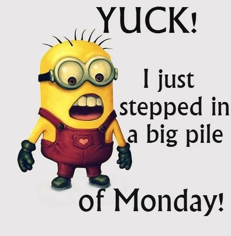 Minion Quotes - https://www.facebook.com/MinionQuotess?fref=ts Minion Meme, Monday Humor Quotes, Minion Pictures, Minion Jokes, Monday Memes, Minions Love, Monday Humor, A Minion, Funny Good Morning Quotes