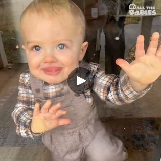 CUTEST Babies of the WEEK!! 113 | These babies can't talk, but they know how to ask for what they want! 😯 | By All The BabiesFacebook Cutest Babies, Baby Videos, Baby Gif, Canning