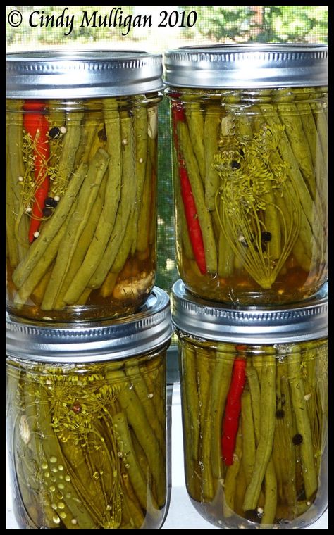 Spicy Pickled Green Beans - 2016 recipe but pretty sure we added alum to this recipe as well Pickled Green Beans Recipe, Spicy Pickled Green Beans, Pickled Green Beans, Dilly Beans, Green Beans Recipe, Canning Pickles, Decorações Com Comidas, Pickled Veggies, Beans Recipe