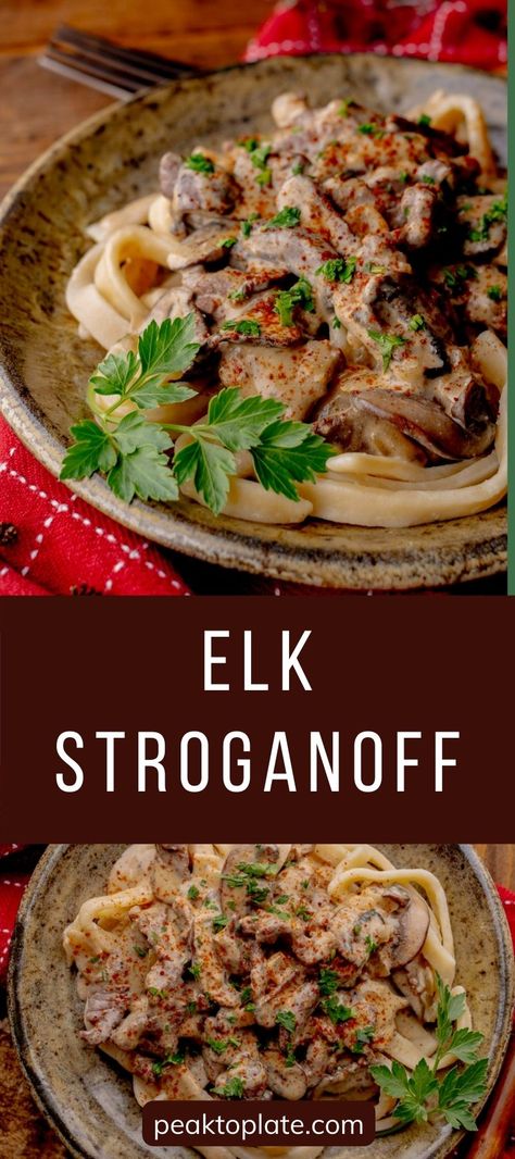 Elk stroganoff blends the rich, robust taste of elk meat with a luxuriously creamy sauce, delivering a dish with great flavor that's both hearty and satisfying. The savory sour cream sauce infused with mushrooms and onions has great flavor and perfectly complements the tender elk meat. This gourmet twist on a classic comfort food is the perfect recipe for lean elk roasts! Elk Stroganoff, Elk Meat Recipes, Elk Steak, Moose Meat, Elk Meat, Elk Recipes, Venison Roast, Mushrooms And Onions, Sour Cream Sauce