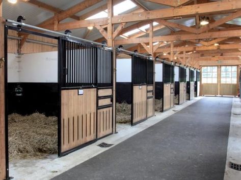 Horse Stables Design, Dream Barn Stables, Equestrian Barns, Horse Farm Ideas, Diy Horse Barn, Horse Barn Ideas Stables, Horse Barn Designs, Dream Stables, Dream Horse Barns