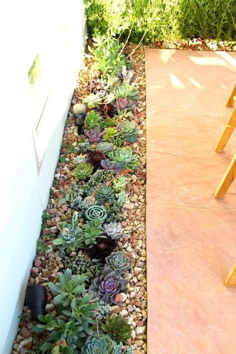 Succulent Garden Outdoor, Succulent Garden Landscape, Cool Tricks, Succulent Landscape Design, Succulent Garden Design, Succulent Landscaping, Rock Garden Landscaping, Garden Pond, Front Yard Garden