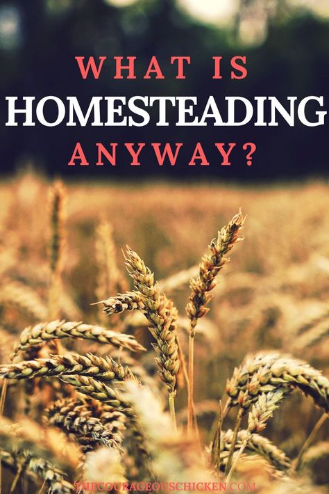 WHAT IS HOMESTEADING?  Today, a person hears the word “homesteading” and might immediately think of a house on lots of land, a barn, chickens, cows, pigs, huge gardens, tractors, hay bales, and… House On Lots Of Land, Homestead Prepping, Start Homesteading, Homesteading Inspiration, Lots Of Land, Homesteading Tips, Living Frugal, Homestead Kitchen, Rustic Homes