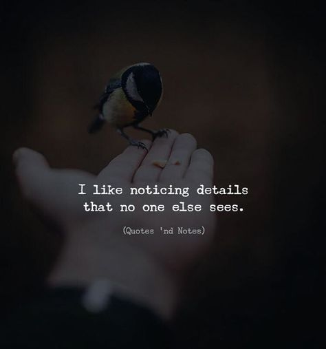 I like noticing details that no one else sees. Photo by: Zerletti —via https://ift.tt/2eY7hg4 Details Quotes, Quotes Deep Meaningful, Deep Meaning, Quotes And Notes, Badass Quotes, Deep Thought Quotes, Life Inspiration, Inspiring Quotes About Life, Heartfelt Quotes