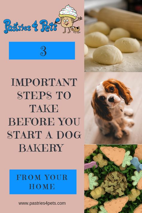 Organic Dog Treats Recipe, Treat Business, Baking Healthy, Pet Treats Recipes, Christmas Dog Treats, Organic Dog Treats, Easy Dog Treat Recipes, Frozen Dog Treats, Dog Biscuit Recipes