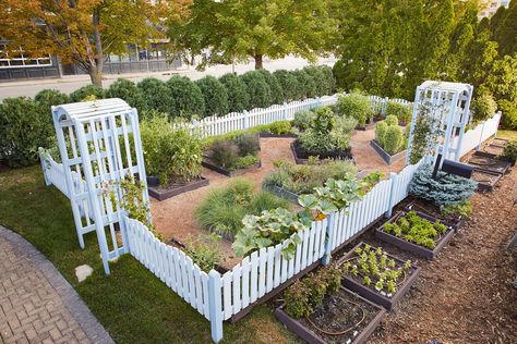 Fence Garden Design, White Picket Fence Garden, White Garden Fence, Small Front Yard Landscaping Ideas, Raised Garden Designs, Creative Fence, Picket Fence Garden, Raised Bed Garden, Hillside Garden