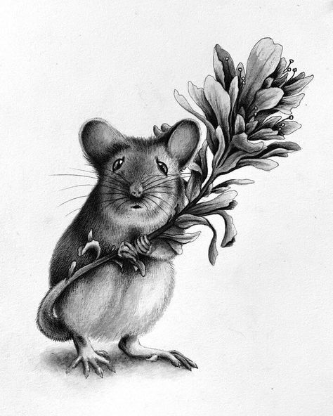 animals and nature drawing Million Tiny Lines, Mouse Tattoos, Mouse Illustration, Deer Photos, Pencil Drawings Of Animals, Mouse Drawing, Field Mouse, Witch Tattoo, Animal Illustration Art