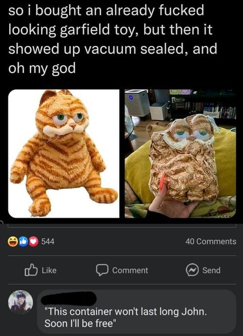 Cursed Comments Reddit, Cursed Garfield, Reddit Comments, Cursed Comments, Friday Night Fever, Best Funny Photos, Silly Images, Question Everything, Oblivion