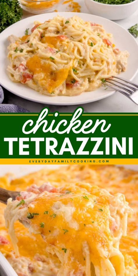 My chicken tetrazzini recipe is quick to prep, easy comfort food. I just make the pasta, combine it with the rest of the ingredients, top with cheese, bake, and dinner is served! Chicken Tetrazzini Recipes Easy, Best Chicken Tetrazzini Recipes, Frozen Diced Chicken Recipes, Chicken Tetrazzini Easy, Easy Chicken Tetrazzini Simple, Quick Easy Supper Ideas, Chicken Tetrazzini Recipes Pioneer Woman, Easy Chicken Tretazzini Recipe, Chicken Tetrazzini Egg Noodles