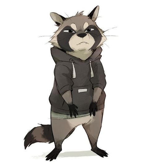 Raccoon Drawing, Raccoon Illustration, Raccoon Art, Cute Raccoon, Trash Panda, Animal Sketches, Racoon, Cartoon Character Design, 영감을 주는 캐릭터