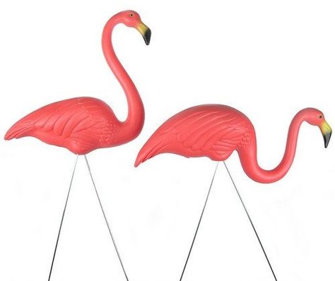 Am I going to get this carried away and get a set of these?  I'm so excited to learn that these are mid-century mod! Pink Flamingos Lawn Ornaments, Plastic Pink Flamingos, Pink Flamingo Decor, Yard Flamingos, Lawn Flamingos, Plastic Flamingo, Flamingo Garden, Yard Ornaments, Flamingo Decor