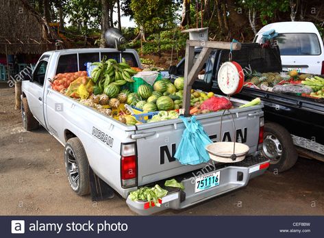 Truck delivering fresh fruit in Santa Catalina , Veraguas Province , Panama - Stock Image Fruit Truck, Own Business Ideas, Home Organizing Ideas, Mobile Food Trucks, Farm Trucks, Santa Catalina, European Culture, Food Words, Business Mindset