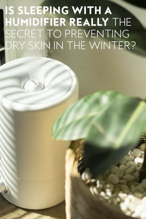 Is Sleeping with a Humidifier Really the Secret to Preventing Dry Skin in the Winter? Check more at https://buzgru.com/is-sleeping-with-a-humidifier-really-the-secret-to-preventing-dry-skin-in-the-winter/ Skin Room, Face Steamer, Dry Mouth, Facial Steamer, Cool Mist Humidifier, Skin Skincare, In The Winter, Night Creams, Moisturizer Cream