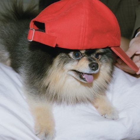 yeontan bts icons Bts