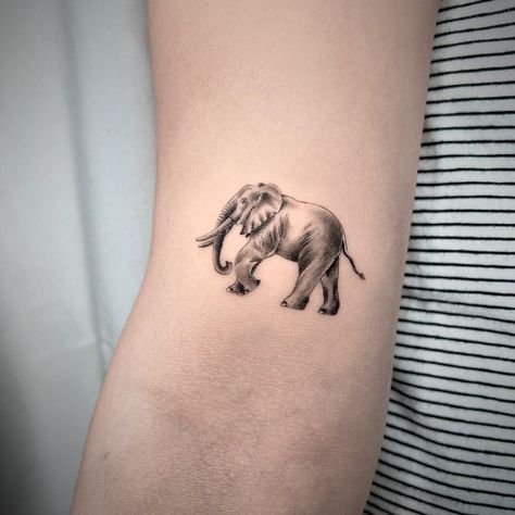 Elephant Tattoos Men, Tattoo Pols, Indian Elephant Tattoo, Soft Tattoo, Tattoo 2024, Elephant Tattoo, Indian Elephant, Elephant Tattoos, Band Tattoo