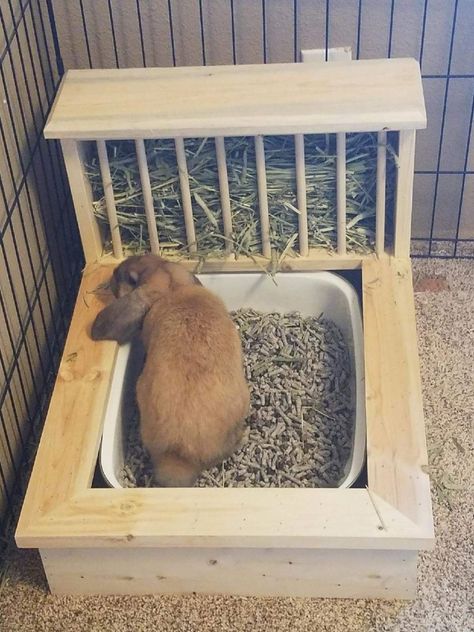 Bunny Cage Ideas, Diy Hay Feeder, Rabbit Shed, Bunny Diy, Rabbit Enclosure, Bunny Cage, Pet Rabbit Care, Bunny Hutch, Bunny Room