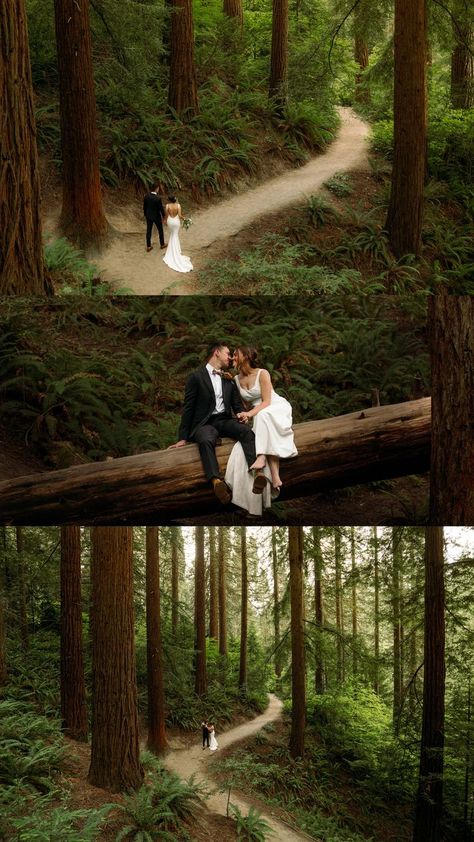 Hoyt Arboretum Wedding, Deck Wedding, Redwood Deck, Hoyt Arboretum, Redwood Forest Wedding, Mountain Photoshoot, Forest Engagement Photos, Redwood Decking, Tree Deck