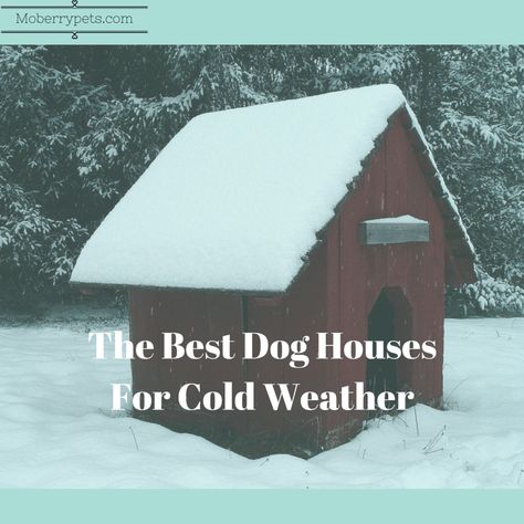 Cold Weather Dog House, Winter Dog House Cold Weather, Outdoor Dog Spaces, Dog House Plans Diy, Heated Dog House, Winter Dog House, Dog House Design, Dog Run Ideas, Warm Dog House