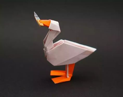 Origami Goose, Origami Knife, Origami Dolphin, Origami Snake, Origami Cup, Dinosaur Brachiosaurus, Origami Duck, Origami Ribbon, Origami Dinosaur