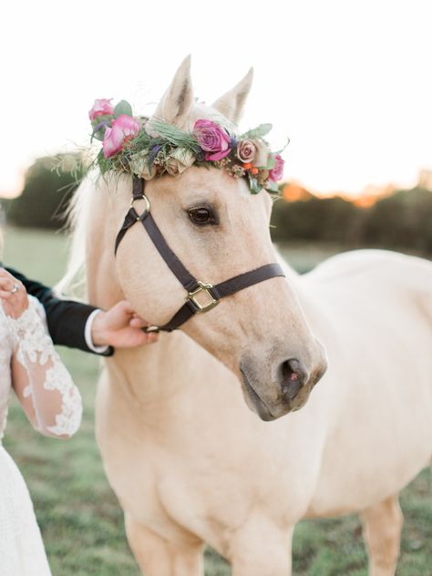 Pretty horse + flower crown <3 Edgy Boho, Boho Wedding Ideas, White Horse, A Horse, Flower Crown, A Flower, Bride And Groom, Boho Wedding, Wedding Ideas