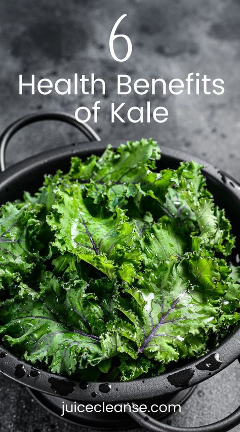 Kale Health Benefits | Health Benefits Of Eating Kale | What Are the Health Benefits of Kale | Health Benefits Of Adding More Kale To Your Diet | kale leaves benefits Benefits Of Kale Smoothies, Benefit Of Kale, Kale Juice Benefits, Kale Nutrition Facts, Health Benefits Of Kale, Kale Benefits, Benefits Of Kale, Pescatarian Lifestyle, Kale Benefits Health