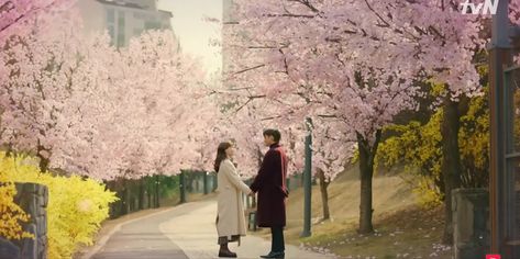 #doomatyourservice #seoinguk#parkboyoung #kdrama Kdrama Cover Photo, Kdrama Cover, Korean Drama Aesthetic, Drama Aesthetic, Doom At Your Service, Aesthetic Header, Cherry Blossom Petals, Korean Phrases, Star Crossed Lovers