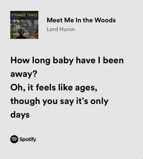 Meet Me In The Woods Lord Huron, Lord Huron Quotes, Lord Huron Aesthetic, Charis Core, Lord Huron Lyrics, Lord Huron, Lost In Space, I Miss Her, Cool Lyrics