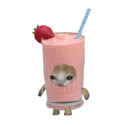 Dont drink him Smoothie Cat, Cat Crying, Silly Cats Pictures, Cat Drinking, Cat Icon, How To Apologize, Cat Costumes, Happy Cat, Silly Cats