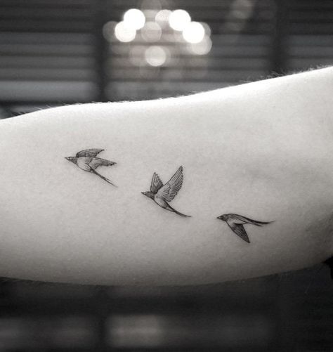 Small flying birds tattoo for girl - 110 Lovely Bird Tattoo Designs White Bird Tattoos, Bird Tattoos Arm, Swallow Bird Tattoos, Little Bird Tattoos, Tiny Bird Tattoos, Bird Tattoos For Women, Vogel Tattoo, Bird Tattoo Wrist, Flying Bird Tattoo