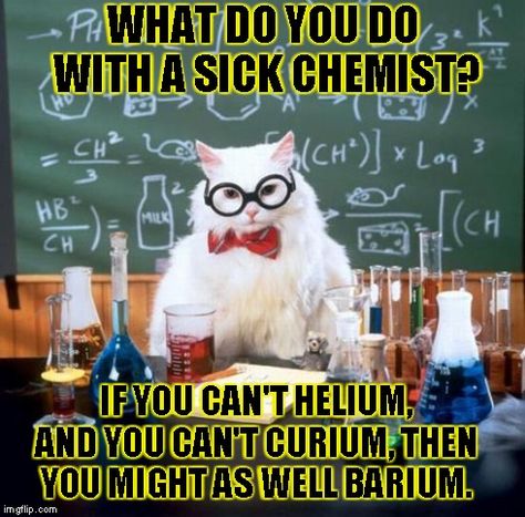 Science Cat, Chemistry Cat, Physics Memes, How To Cut Avocado, Chemistry Jokes, Science Jokes, Science Humor, Cat Posters, Smart Jokes