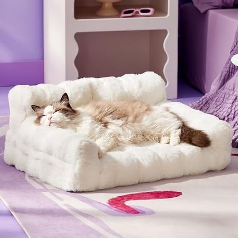 Bubble Sofa, Cat Sofa Bed, Cat Sofa, Cat Couch, Fluffy Cat, Medium Dogs, Comforters Cozy, Cat Bed, Playful Design