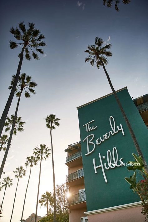 Beverly Hills Hotel Wallpaper, Grand Lobby, Los Angeles Wallpaper, The Beverly Hills Hotel, Classic Hollywood Glamour, Hollywood Hotel, Beverly Hills Houses, Sunset Boulevard, Beverly Hills Hotel