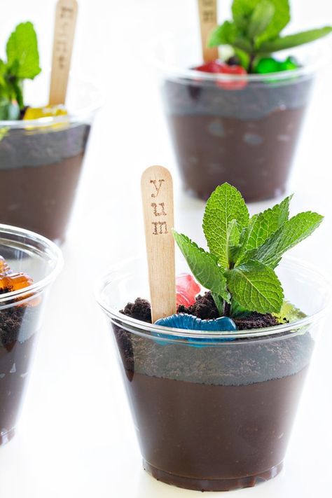 JELL-O CREATIONS OREO Dirt Cups are about the cutest thing you ever did make with your kid. And one of the easiest! Mix, layer, top - that's it! Oreo Dirt Cups, Dirt Cups Dessert, Cowboy Classroom, Dirt Dessert, Oreo Dirt, Jello Cups, Kid Friendly Dessert, Dirt Cups, Frozen Cheesecake