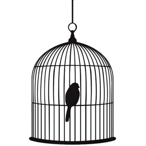 Bird Painting Diy, Bird Cage Design, Tiny Bird Tattoos, Phoenix Bird Tattoos, Bird In A Cage, Canary Birds, Large Bird Cages, Bird Clipart, Bird Cage Decor