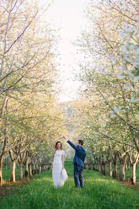 Apple Orchard Photoshoot Couple, Orchard Engagement Photos, Orchard Photoshoot, Wedding Orchard, Apple Orchard Engagement Photoshoot, Orchard Proposal, Orchard Photoshoot Couples, Family Photo Apple Orchard, Apple Orchard Wedding Spring