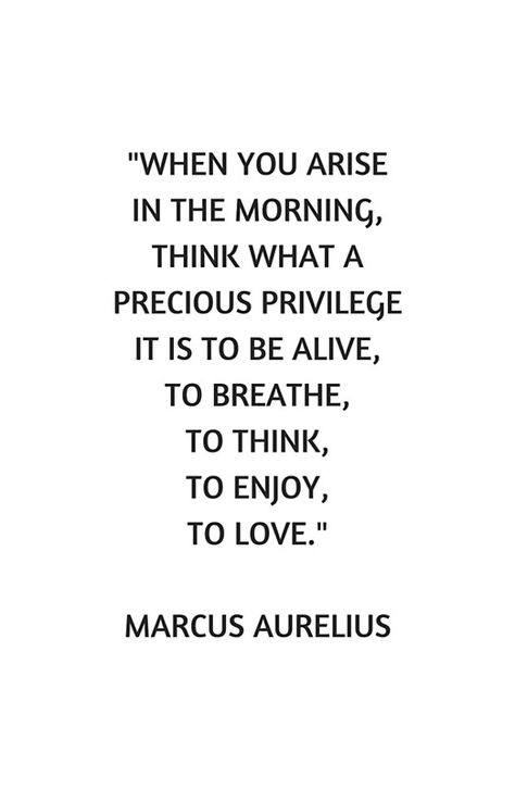 Stoic Philosophy Quote - Marcus Aurelius - What a precious privilege it is to be alive #redbubble #quotes #posters  #stoic #stoicism #philosophy #wisdom     #motivation #inspirationandideas #inspirationalquotes #inspiration Missing Family Quotes, Marcus Aurelius Quotes, What I Like About You, Stoic Philosophy, Stoicism Quotes, Servant Leadership, Stoic Quotes, Leader In Me, Motivation Positive