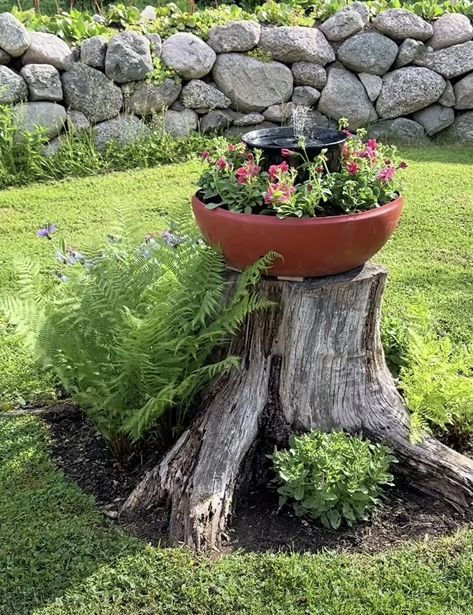 Tree Stump Bird House, Tree Stump Bird Bath, Stump Bird Bath, Tree Stump Ideas Outdoor, Wooded Backyard Landscape, Tree Stump Ideas, Stump Ideas, Succulent Garden Design, Garden Flower Beds