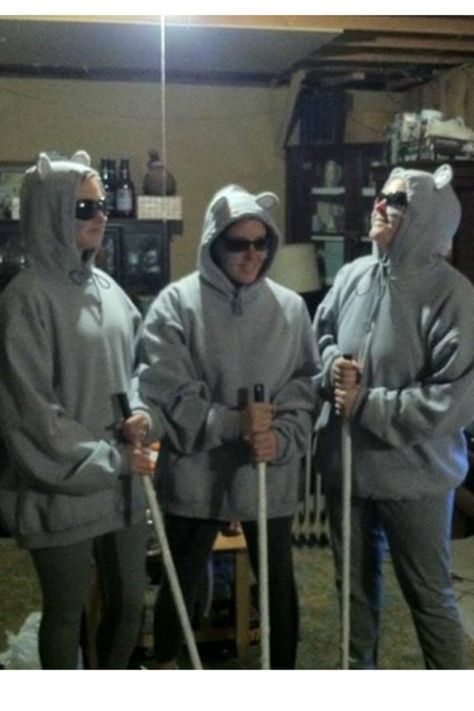 Halloween Costumes For Best Friends Of 3 Funny, The Three Blind Mice, Costumes For A Group Of Three, Three Blind Mice Costume Shrek, 3 Person Costume Ideas Funny, Blind Mice Costume, Three Costumes Group, 3 Blind Mice Costume, Three Blind Mice Halloween Costumes