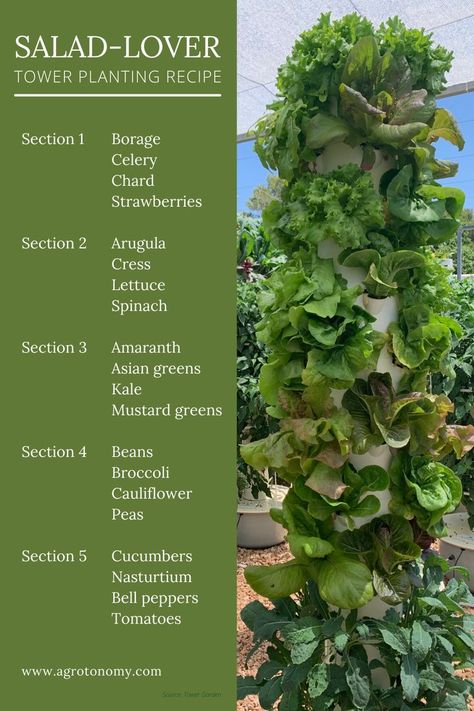 Tower Garden Diy, Aeroponic Tower, Aeroponic Gardening, Hydroponic Grow Systems, Garden Vertical, Indoor Farming, Orchard Garden, Aquaponics Diy, Vertical Garden Indoor