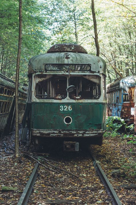 Abandoned Trains, Train Yard, Abandon Train Station, Overgrown Railway, Abandoned Train Tracks Aesthetic, Abandoned Train Station, Eerie Places, Abandoned Car In Forest, Abandoned Train