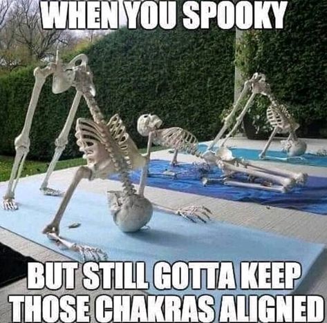 Skeleton Yoga Meme Funny Yoga Pictures, Yoga Meme, Halloween Memes, Yoga Pictures, Vinyasa Flow, Workout Memes, Yoga Art, Kundalini Yoga, Yoga Quotes