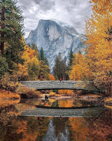 Yosemite Colors 🍁 - Follow @uswilderness for more! 🇺🇸 Follow @uswilderness for more! 🇺🇸 Use #uswilderness to be Featured! Please Like,… Yosemite National Park Photography, California Hikes, National Parks Photography, National Park California, Yosemite Falls, Mountain Travel, California Travel Road Trips, California National Parks, National Parks Usa