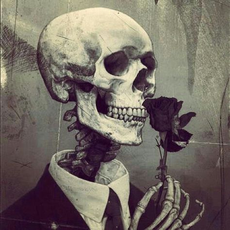 Smell the rose Dark Flowers, Skeleton Art, A Skeleton, Skulls And Roses, Flower Skull, Art And Illustration, Gothic Art, Skull And Bones, Skull Art