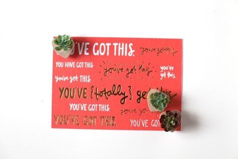 Succulent Magnets, Diy Magnets, Succulents Diy, Succulent, Cactus, Magnets, Book Cover