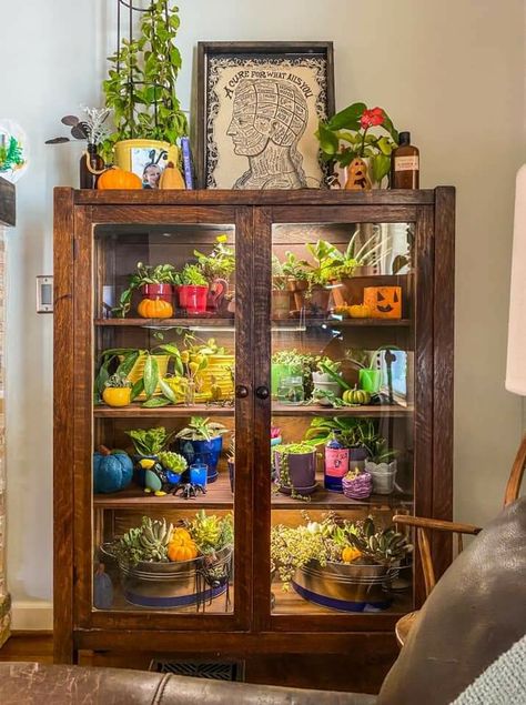 China Cabinet Greenhouse Diy, Plant Cupboard, Shelves With Grow Lights, Plant Cabinet Display, Indoor Greenhouse Ideas, Botanical Lounge, Decor Ideas Birthday, Plant Decoration Ideas, Plant Cabinet