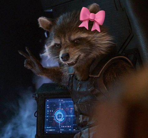 Rocket Gotg Icon, Rocket Pfp Mcu, Yondu Udonta Wallpaper, Guardians Of The Galaxy Rocket Memes, Mantis Guardians Of The Galaxy Pfp, Guardians Of The Galaxy Matching Pfp, Rocket Galaxy Guardians, Guardians Of The Galaxy Room, Guardians Of The Galaxy Vol 3 Rocket